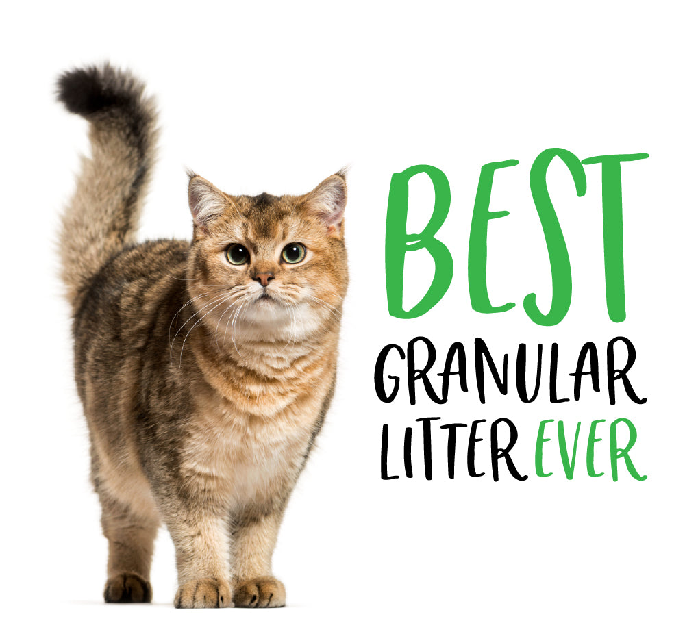 Introducing ORI, Granular Tofu Cat Litter Compatible with Automatic Self-Cleaning Litter Boxes